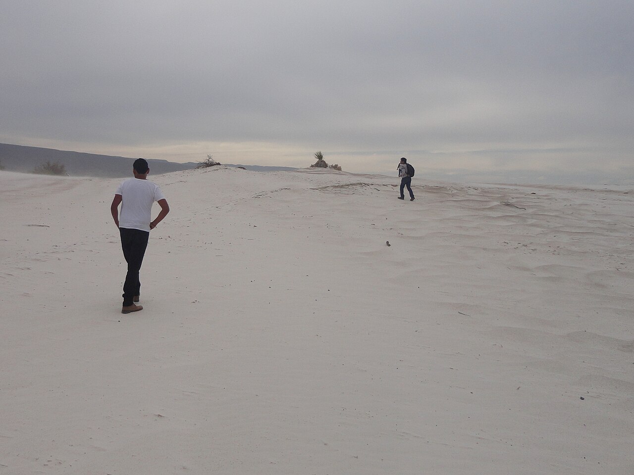 Dunas de yeso en Cuatro Ciénegas, Coahuila