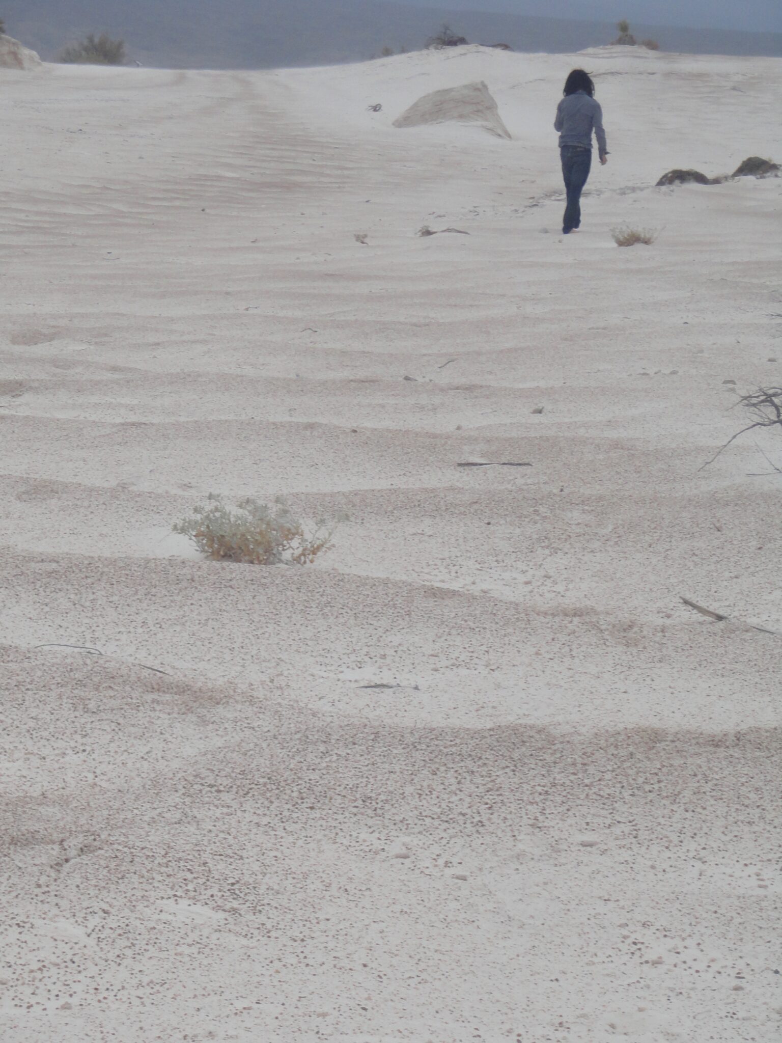 Dunas de yeso en Cuatro Ciénegas, Coahuila