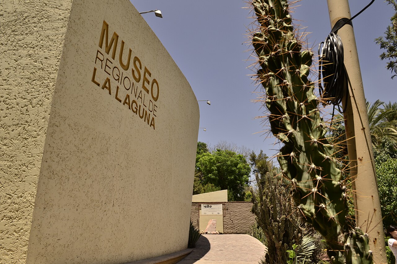 Bosque Venustiano Carranza en Torreón, región de La Laguna (imagen ilustrativa)